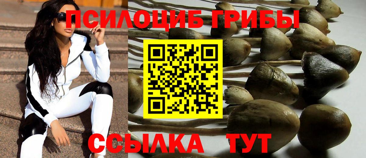 Псилоцибиновые грибы ЛСД Ефремов